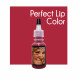 Custom Cosmetic Colors - Perfect Lip Color